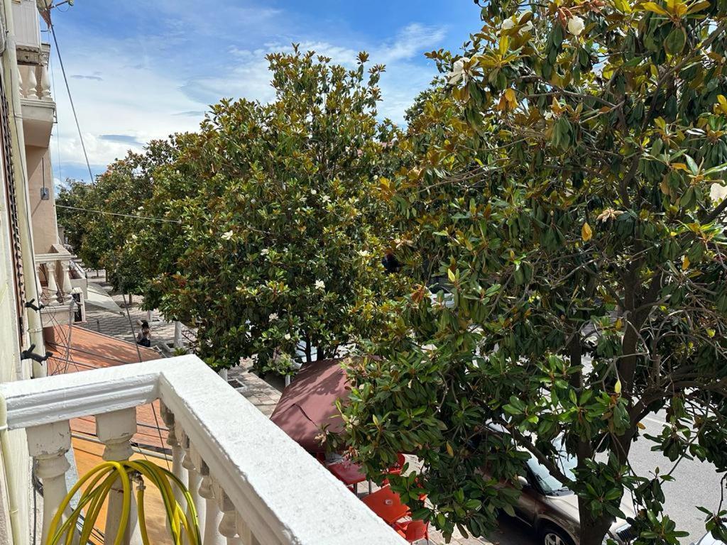 City Center Shkodra B&B 外观 照片